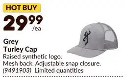 Princess Auto Grey Turley Cap offer