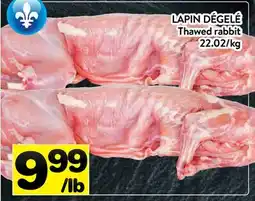 Supermarché PA LAPIN DÉGELÉ | Thawed rabbit offer