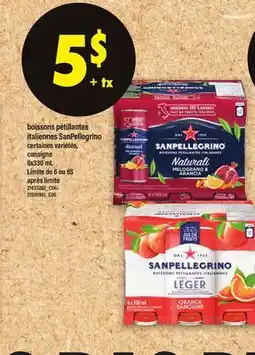 Maxi BOISSONS PÉTILLANTES ITALIENNES SANPELLEGRINO, 6X330 ML offer