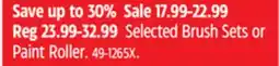 Canadian Tire Selected Brush Sets or Paint Roller offer