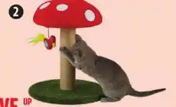 Canadian Tire Cactus and Toadstool Cat Scratchers offer