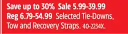 Canadian Tire Selected Tie-Downs, Tow and Recovery Straps offer