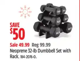 Canadian Tire Neoprene 32-lb Dumbbell Set with Rack offer