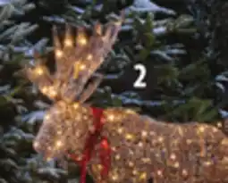 Canadian Tire Canvas 3.5' LED Moose offer