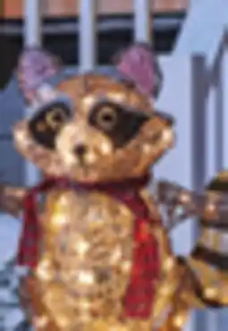 Canadian Tire CANVAS LED Raccoon offer