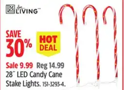 Canadian Tire 28˝ LED Candy Cane Stake Lights offer