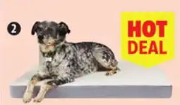 Canadian Tire Petco Memory Foam Dog Bed offer