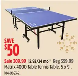 Canadian Tire Matrix 4000 Table Tennis Table offer