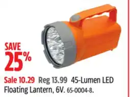 Canadian Tire Certified 45-Lumen LED Floating Lantern, 6V offer