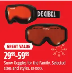 Canadian Tire Decibel Snow Goggles for the Family offer