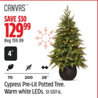 Canadian Tire CANVAS Cypress Pre-Lit Potted Tree. Warm white LEDs offer
