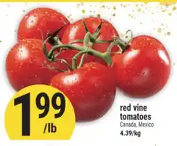 Marché Adonis Red vine tomatoes offer