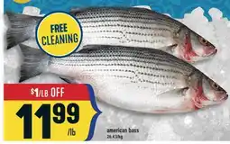 Marché Adonis American bass offer