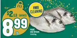 Marché Adonis Royal sea bream offer