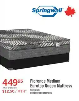 The Brick Springwall Florence Eurotop Medium Queen Mattress offer