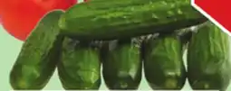 Giant Tiger Mini cucumbers offer