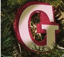 Giant Tiger Mirror monogram ornament offer