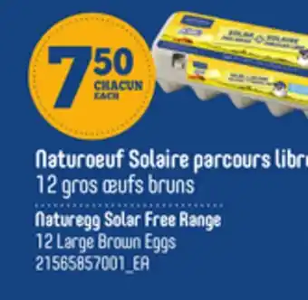 Provigo NATUREGG SOLAR FREE RANGE 12 LARGE BROWN EGGS offer