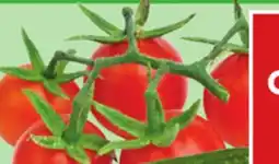 Giant Tiger cocktail tomatoes offer