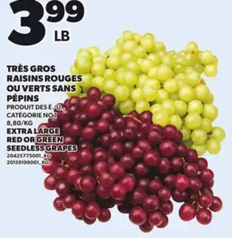 Provigo EXTRA LARGE RED OR GREEN SEEDLESS GRAPES offer