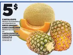 Provigo CANTALOUPES OR LARGE CROWNLESS PINEAPPLE offer