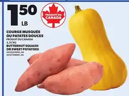 Provigo BUTTERNUT SQUASH OR SWEET POTATOES offer