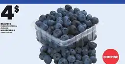 Provigo BLUEBERRIES offer