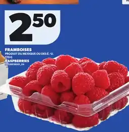 Provigo RASPBERRIES, 170 G offer