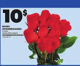 Provigo INTERMEDIATE ROSES offer