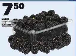 Provigo BLACKBERRIES, 340 G offer