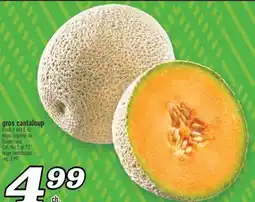 Marché Richelieu GROS CANTALOUP | LARGE CANTALOUPE offer