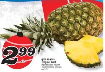 Marché Richelieu GROS ANANAS TROPICAL GOLD | TROPICAL GOLD LARGE PINEAPPLE offer