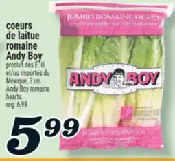 Marché Richelieu COEURS DE LAITUE ROMAINE ANDY BOY | ANDY BOY ROMAINE HEARTS offer