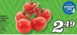 Marché Richelieu Tomates rouges en grappe | stemmed red tomatoes offer