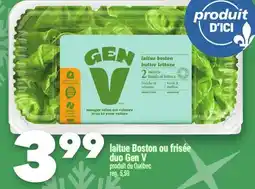 Marche Ami Laitue Boston ou frisée duo Gen V offer