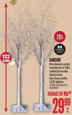 Jean Coutu DANSON Selected birches with LED lights offer