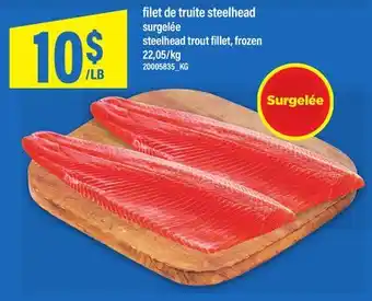 Maxi FILET DE TRUITE STEELHEAD | STEELHEAD TROUT FILLET offer