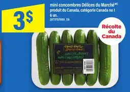 Maxi MINI CONCOMBRES DÉLICES DU MARCHÉ , 6 un offer