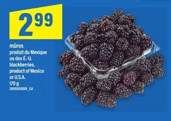 Maxi MÛRES | BLACKBERRIES, 170 g offer