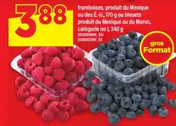 Maxi FRAMBOISES, PRODUIT DU MEXIQUE OU DES É.-U., 170 G OU BLEUETS, 340 G offer