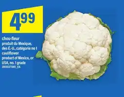 Maxi CHOU-FLEUR | CAULIFLOWER offer