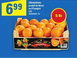 Maxi CLÉMENTINES, 5 lb offer