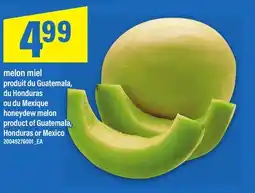 Maxi MELON MIEL | HONEYDEW MELON offer