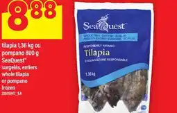 Maxi TILAPIA, 1,36 KG OU POMPANO, 800 G SEAQUEST | WHOLE TILAPIA OR POMPANO offer