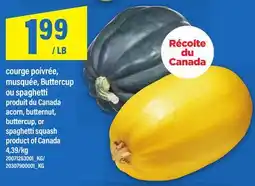 Maxi COURGE POIVRÉE, MUSQUÉE, BUTTERCUP OU SPAGHETTI | ACORN, BUTTERNUT, BUTTERCUP, OR SPAGHETTI SQUASH offer