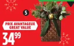Canadian Tire CANVAS Indoor Greenery in Hanging offer