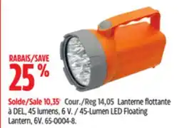 Canadian Tire Lumen LED Floating Lantern offer