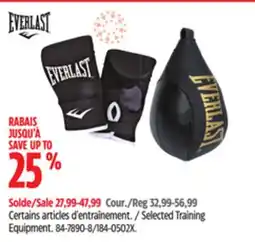 Canadian Tire Everlast Selected Training Equipment offer