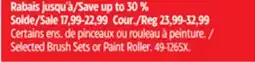 Canadian Tire Premier Selected Brush Sets or Paint Roller offer