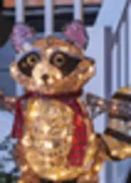 Canadian Tire Canvas 2´ LED Raccoon offer